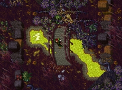 Tibia Thumbnail 2