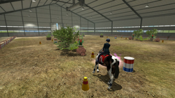 Riding Club Championships Thumbnail 1